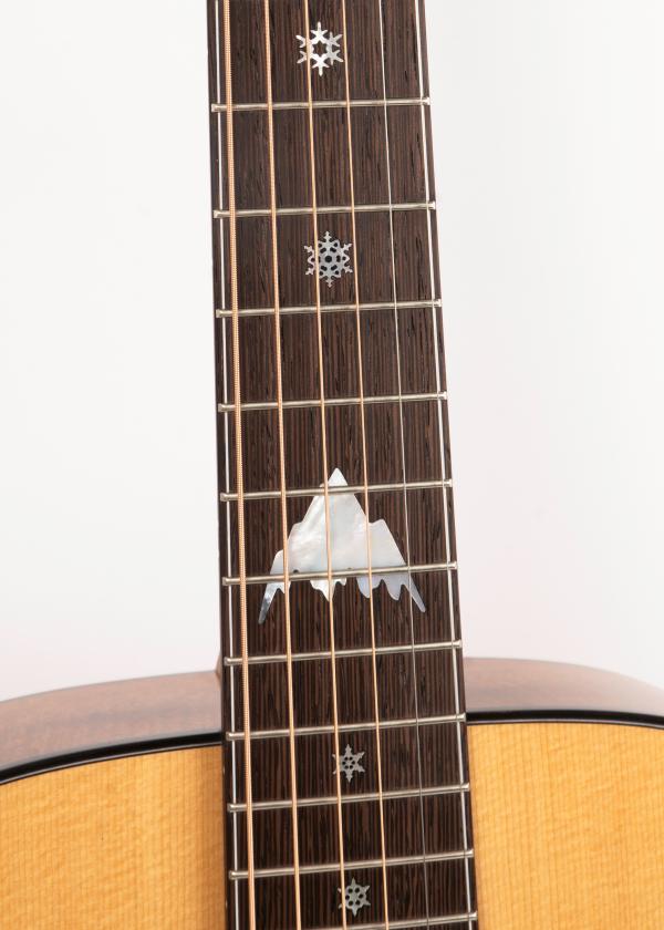 fretboard with burton logo, acoustic guitar