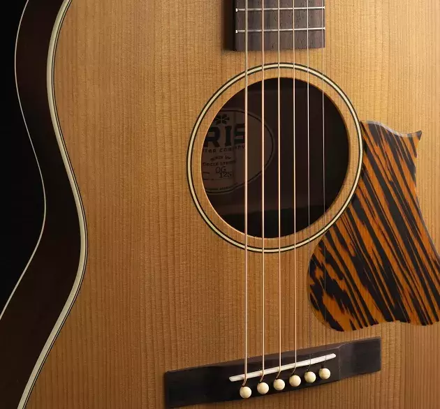 Iris guitar popup