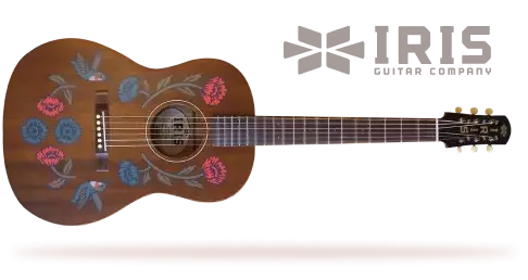 David Simonett Guitar