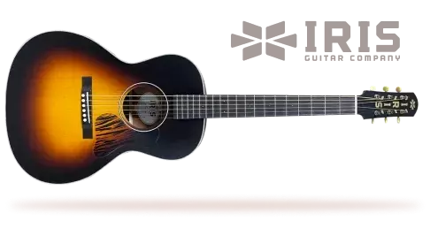Muireann Bradley Guitar