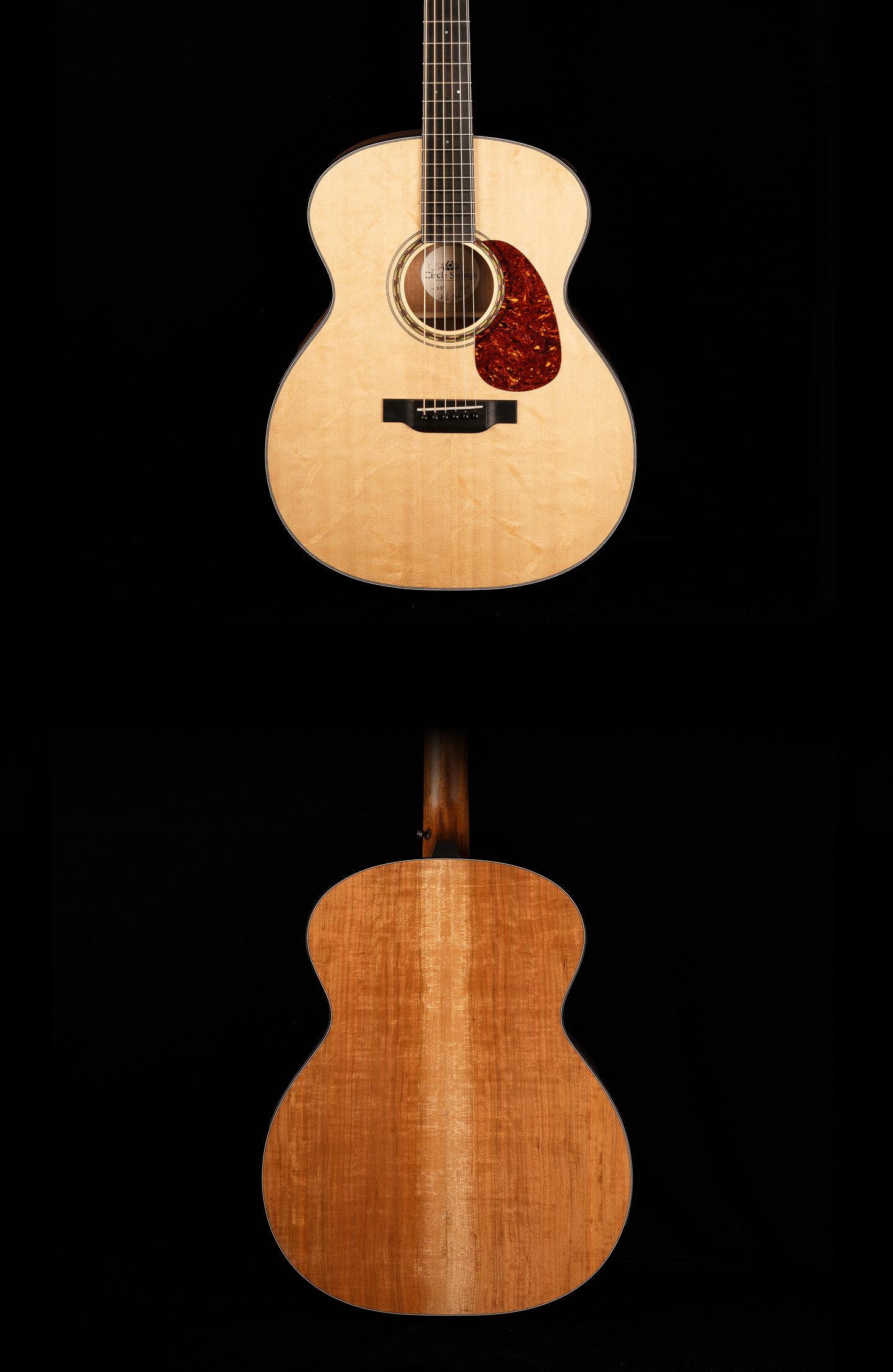 guitar front and back